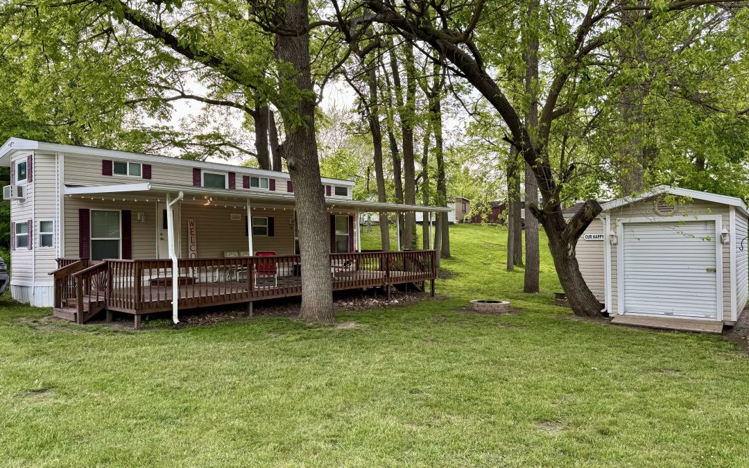 Lot 311